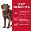 Hill's Science Diet Adult Perfect Weight Large Breed Dry Dog Food, Chicken Recipe - 11.3 Kg - Dog Food - Hill's Science Diet - PetMax Canada