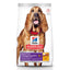 Hill's Science Diet Adult Sensitive Stomach & Skin Large Breed Dry Dog Food, Chicken Recipe, 13.6 Kg Bag 13.6 Kg Dog Food 13.6 Kg | PetMax Canada