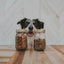 FirstMate Grain Friendly High Performance For Active Dogs & Puppies