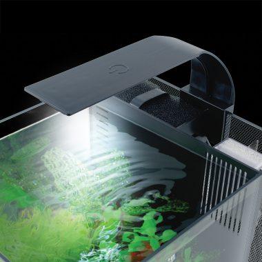 Fluval Betta Premium Aquarium Kit - 10L / 2.6 US Gal - Aquarium - Fluval - PetMax Canada