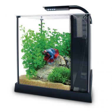 Fluval Betta Premium Aquarium Kit  Aquarium  | PetMax Canada