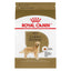 Royal Canin Golden Retriever Adult Dry Dog Food  Dog Food  | PetMax Canada