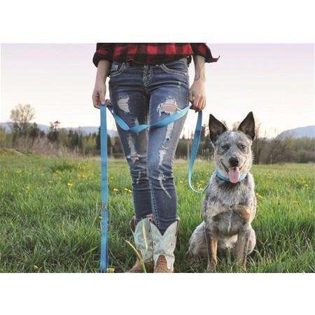 RC Dog Adjustable Collar Primary Lime  Dog Collars  | PetMax Canada