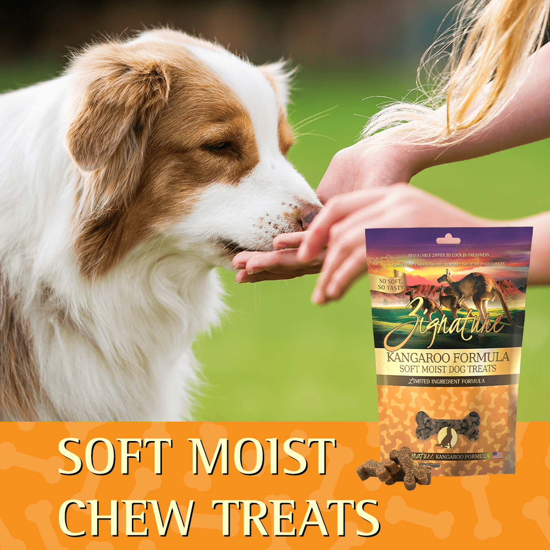 Zignature Kangaroo Formula Soft Moist Treats for Dogs  Dog Treats  | PetMax Canada