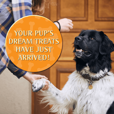 Zignature Kangaroo Formula Soft Moist Treats for Dogs - 113g - Dog Treats - Zignature Pet Food - PetMax Canada