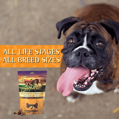 Zignature Kangaroo Formula Soft Moist Treats for Dogs - 113g - Dog Treats - Zignature Pet Food - PetMax Canada