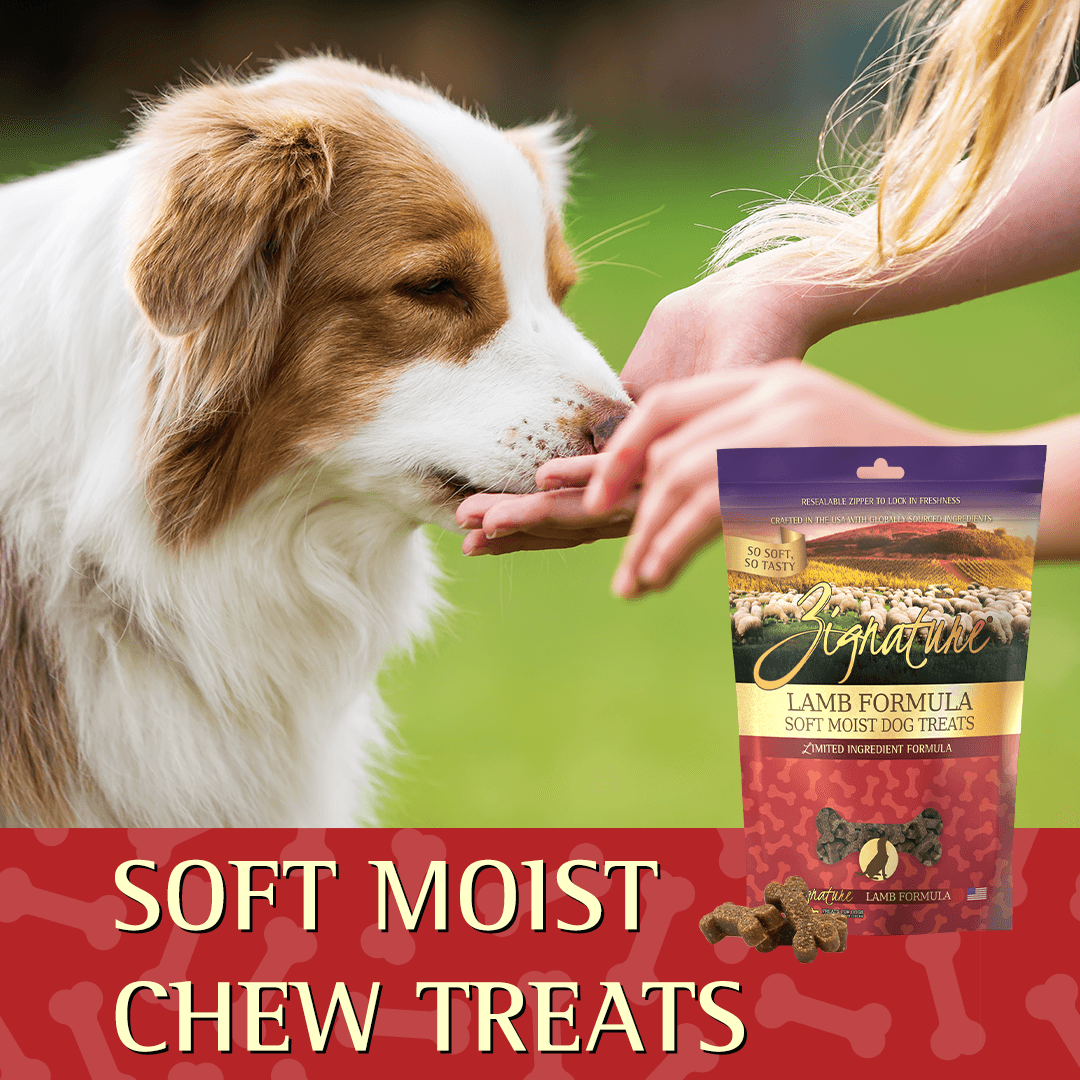 Zignature Lamb Formula Soft Moist Treats for Dogs  Dog Treats  | PetMax Canada