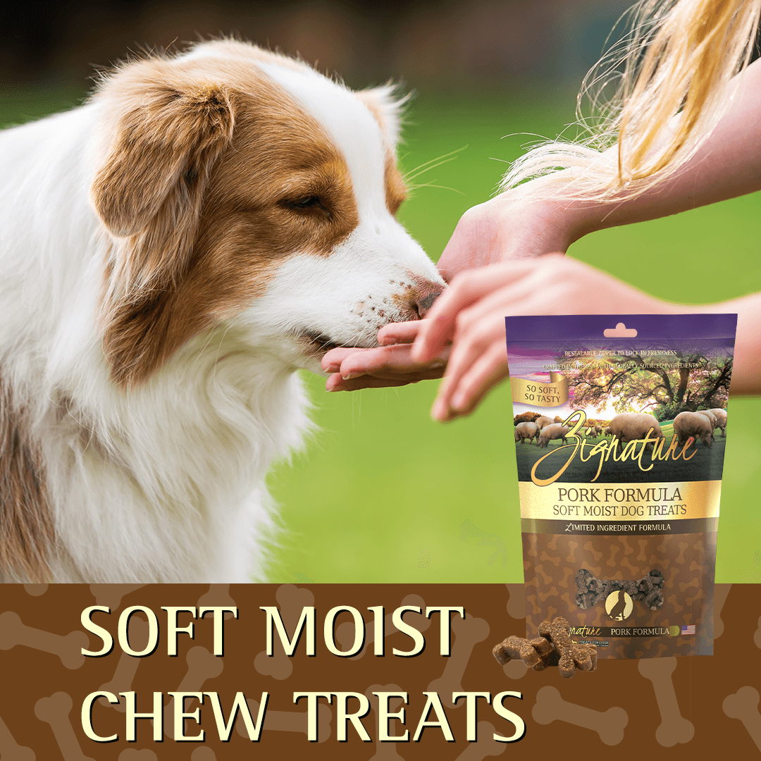 Zignature Pork Formula Soft Moist Treats for Dogs  Dog Treats  | PetMax Canada