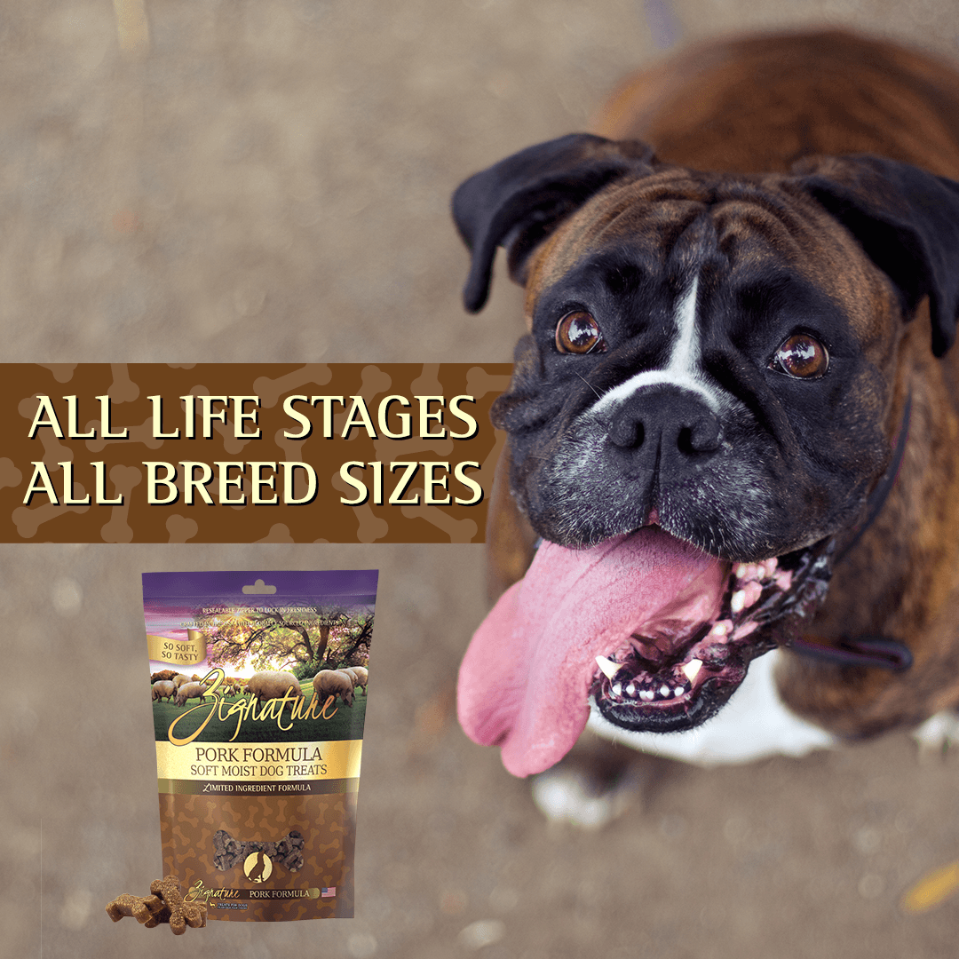 Zignature Pork Formula Soft Moist Treats for Dogs - 113g - Dog Treats - Zignature Pet Food - PetMax Canada