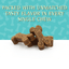 Zignature Whitefish Formula Soft Moist Treats for Dogs - 113g - Dog Treats - Zignature Pet Food - PetMax Canada