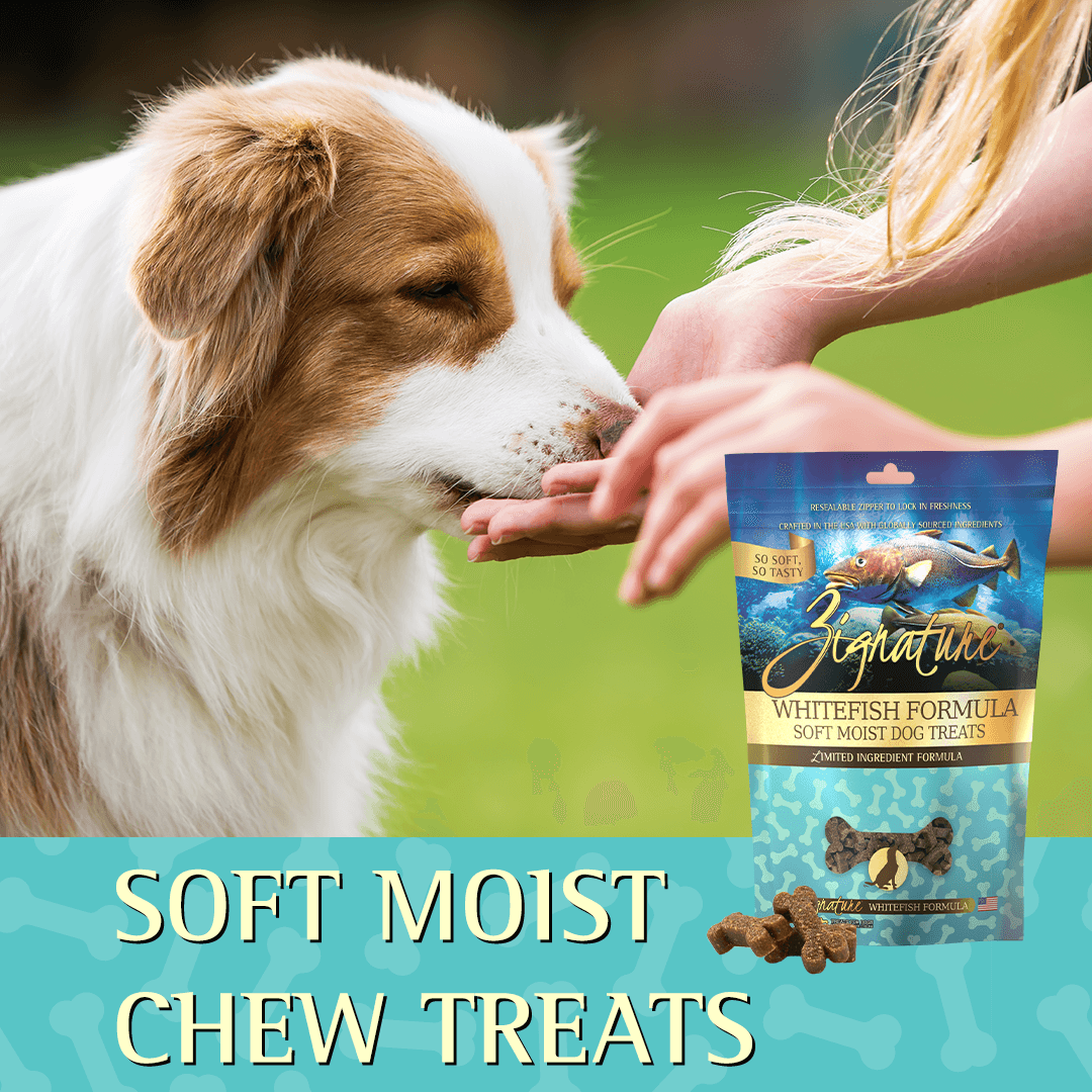 Zignature Whitefish Formula Soft Moist Treats for Dogs  Dog Treats  | PetMax Canada