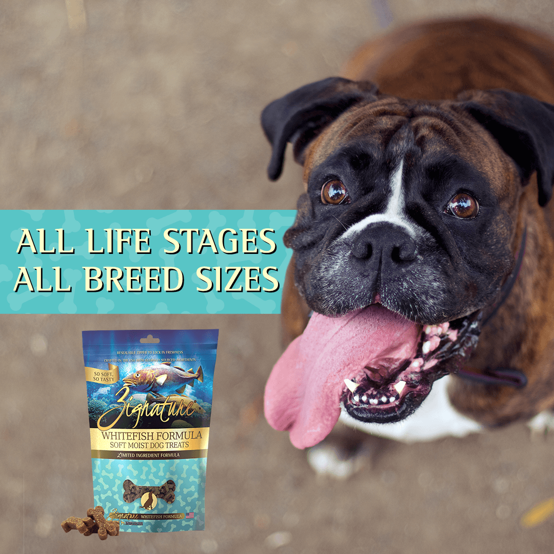 Zignature Whitefish Formula Soft Moist Treats for Dogs - 113g - Dog Treats - Zignature Pet Food - PetMax Canada
