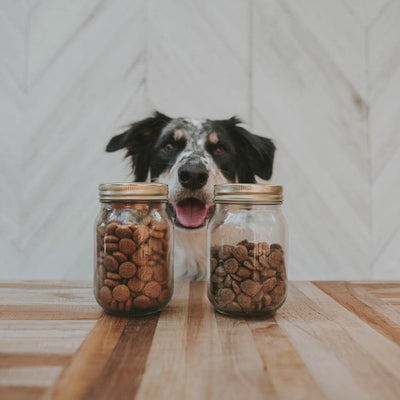FirstMate Grain Friendly Cage-Free Chicken Meal & Oats Dog Food