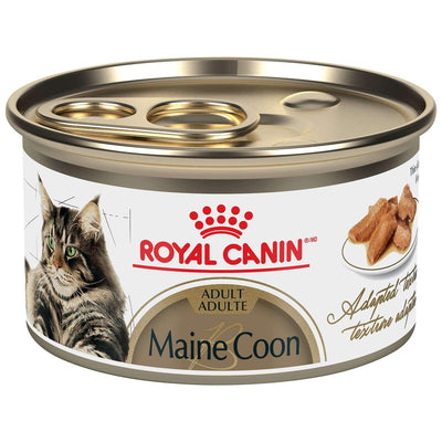 Royal Canin Maine Coon Canned Cat Food  Canned Cat Food  | PetMax Canada