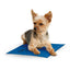 K&H Pet Products Coolin' Pet Pad Small 11" x 15" Outdoor Gear Small 11" x 15" | PetMax Canada