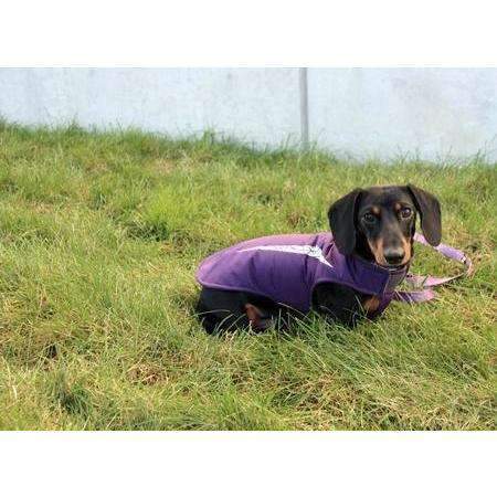 RC Cascade Dog Coat Plum Purple * Discontinued Colour  Coats  | PetMax Canada