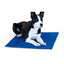 K&H Pet Products Coolin' Pet Pad Large 20" x 36" Outdoor Gear Large 20" x 36" | PetMax Canada