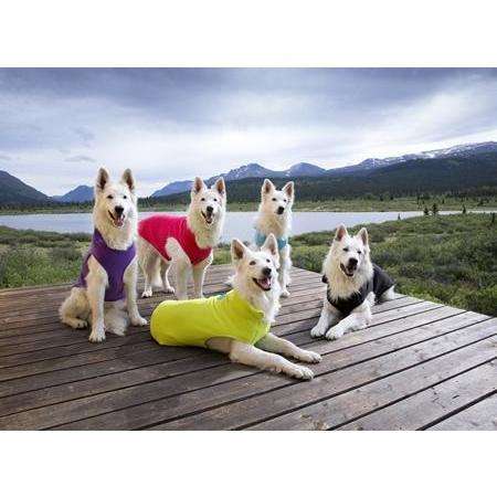 RC Baseline Dog Coat Black & Lime Fleece  Coats  | PetMax Canada