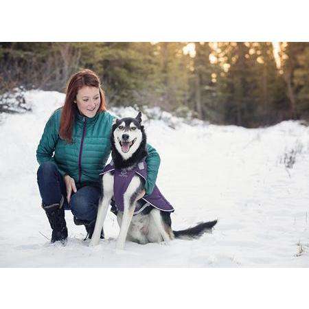 RC Dog Nimbus Puffer Plum Purple & Grey  Puffer Jackets  | PetMax Canada