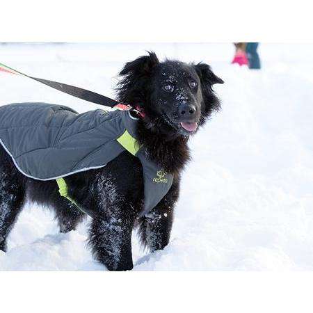 RC Dog Nimbus Puffer Plum Purple & Grey  Puffer Jackets  | PetMax Canada