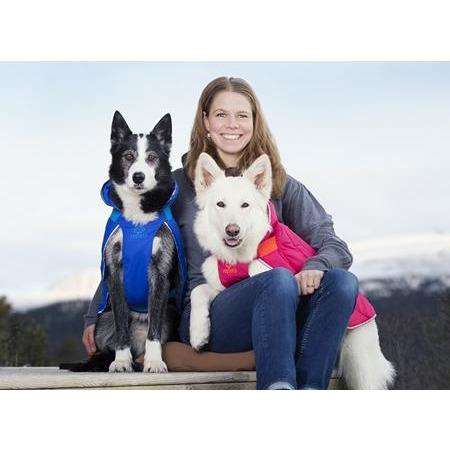 RC Dog Nimbus Puffer Plum Purple & Grey  Puffer Jackets  | PetMax Canada