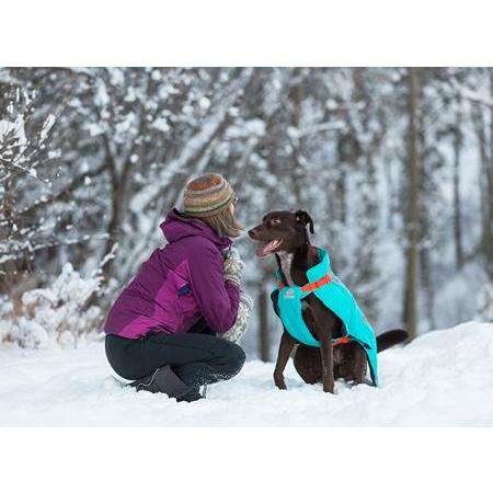 RC Dog Vortex Parka Black & Blue  Parkas  | PetMax Canada