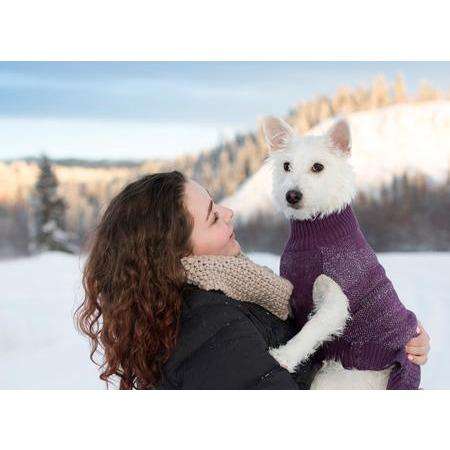 RC Dog Polaris Sweater Black  Sweaters  | PetMax Canada