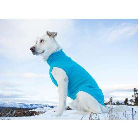 RC Dog Polaris Sweater Teal  Sweaters  | PetMax Canada