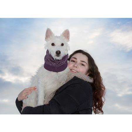 RC Dog Polaris Snood Teal  Snoods  | PetMax Canada