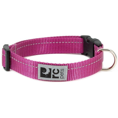 RC Dog Collar Primary Mulberry  Dog Collars  | PetMax Canada