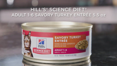 Nourriture en conserve pour chats Hill's Science Diet Entrée de dinde adulte 