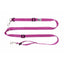 RC Dog Active Leash Mulberry  Leashes  | PetMax Canada