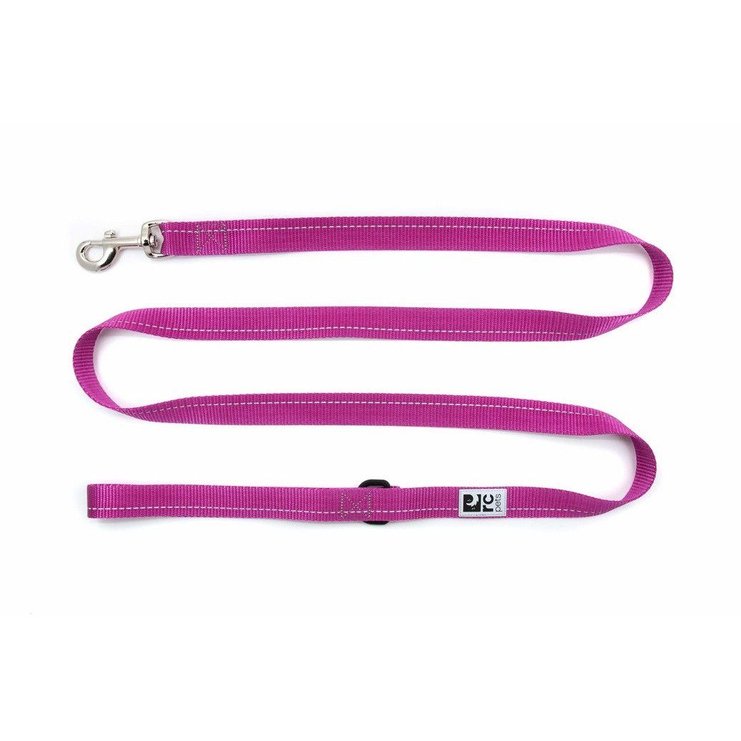 RC Dog Leash Primary Mulberry  Leashes  | PetMax Canada