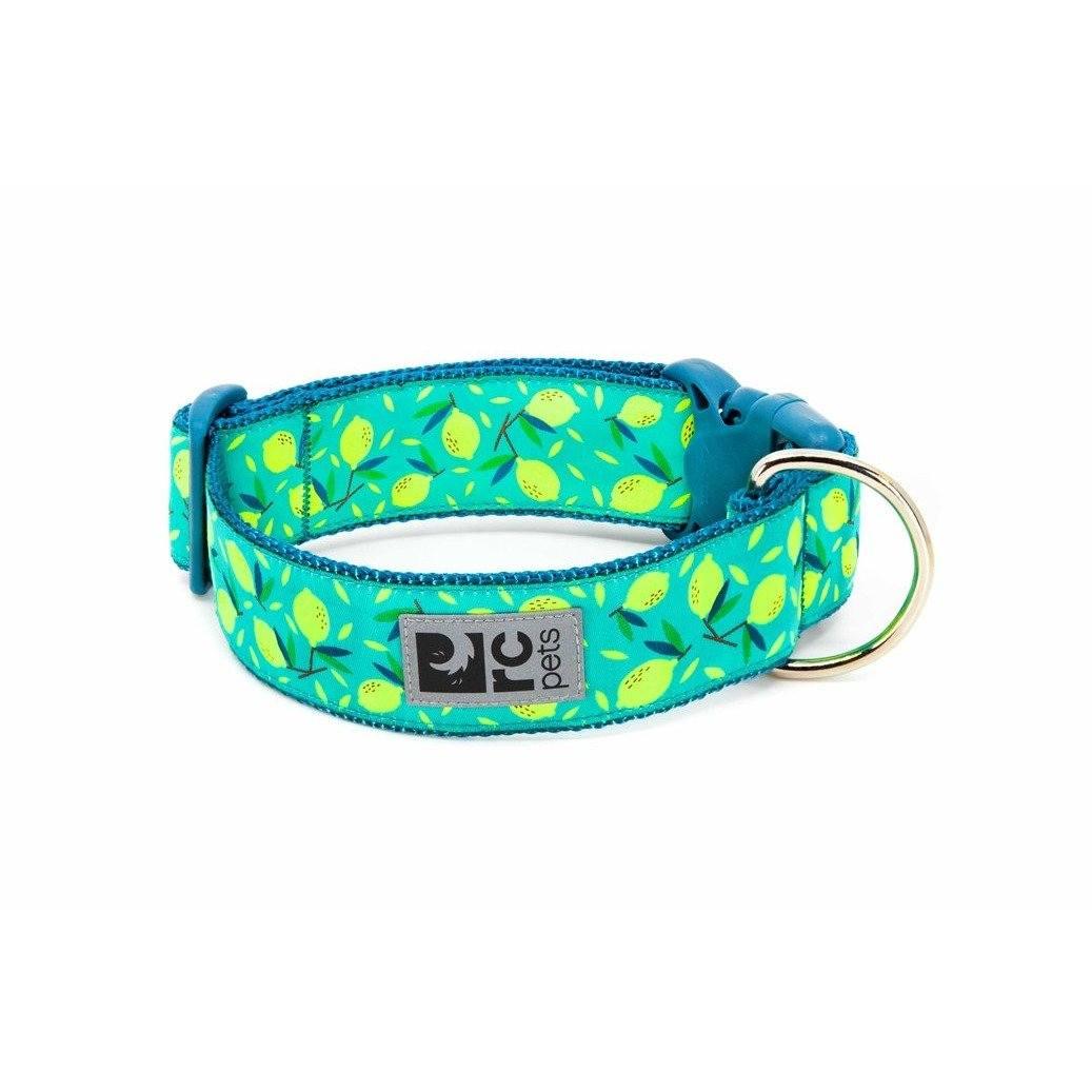 RC Dog Collar Lemonade Wide - 1.5" x 12 - 20" - Dog Collars - RC Pet Products - PetMax Canada