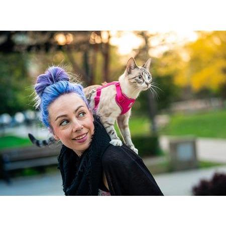 RC Kitty Adventure Harness Raspberry - Small - Cat Harness - RC Pet Products - PetMax Canada