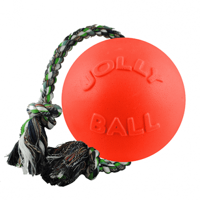 Jolly Pets Romp-N-Play - 4.5" - Dog Toys - Jolly Pets - PetMax Canada