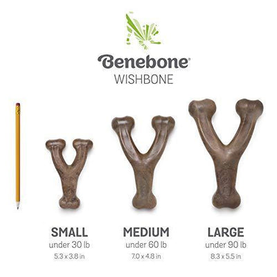 Benebone Wishbone Bacon - Small - Nylon - Benebone - PetMax Canada
