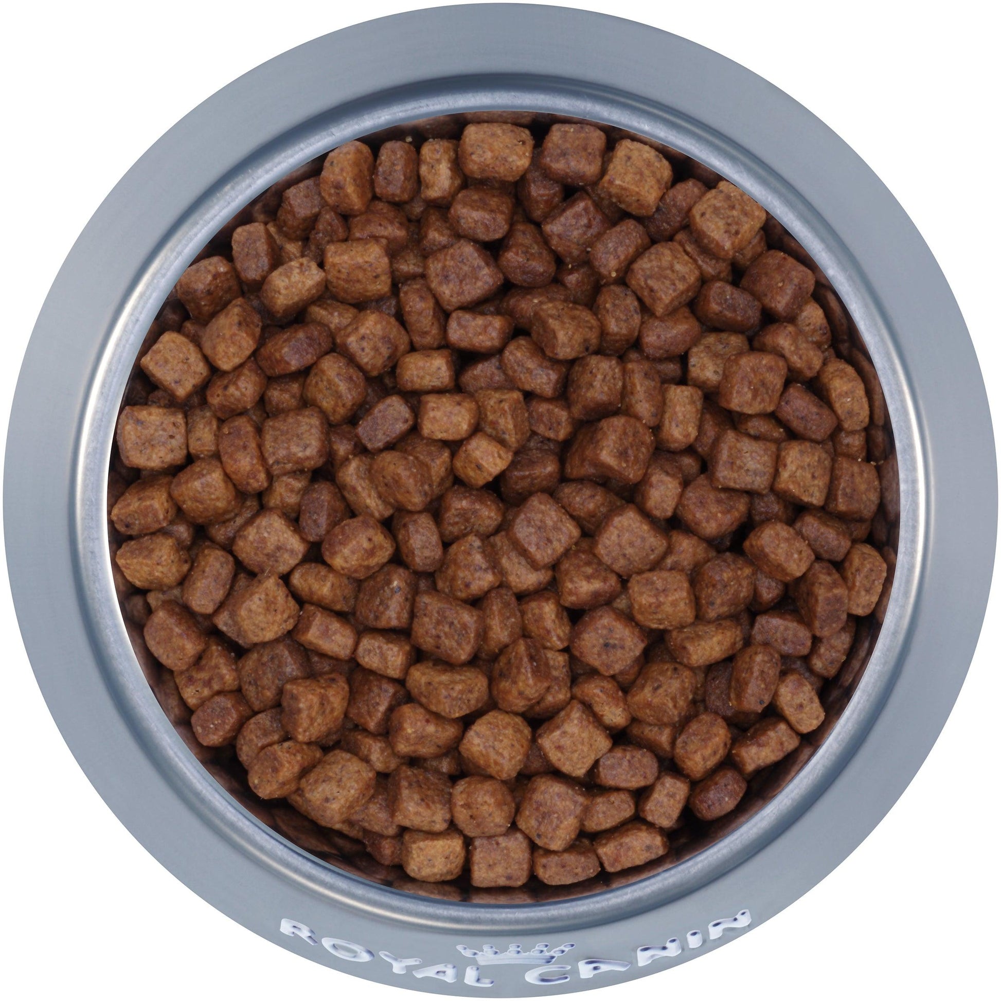 Royal Canin Yorkshire Puppy Food  Dog Food  | PetMax Canada