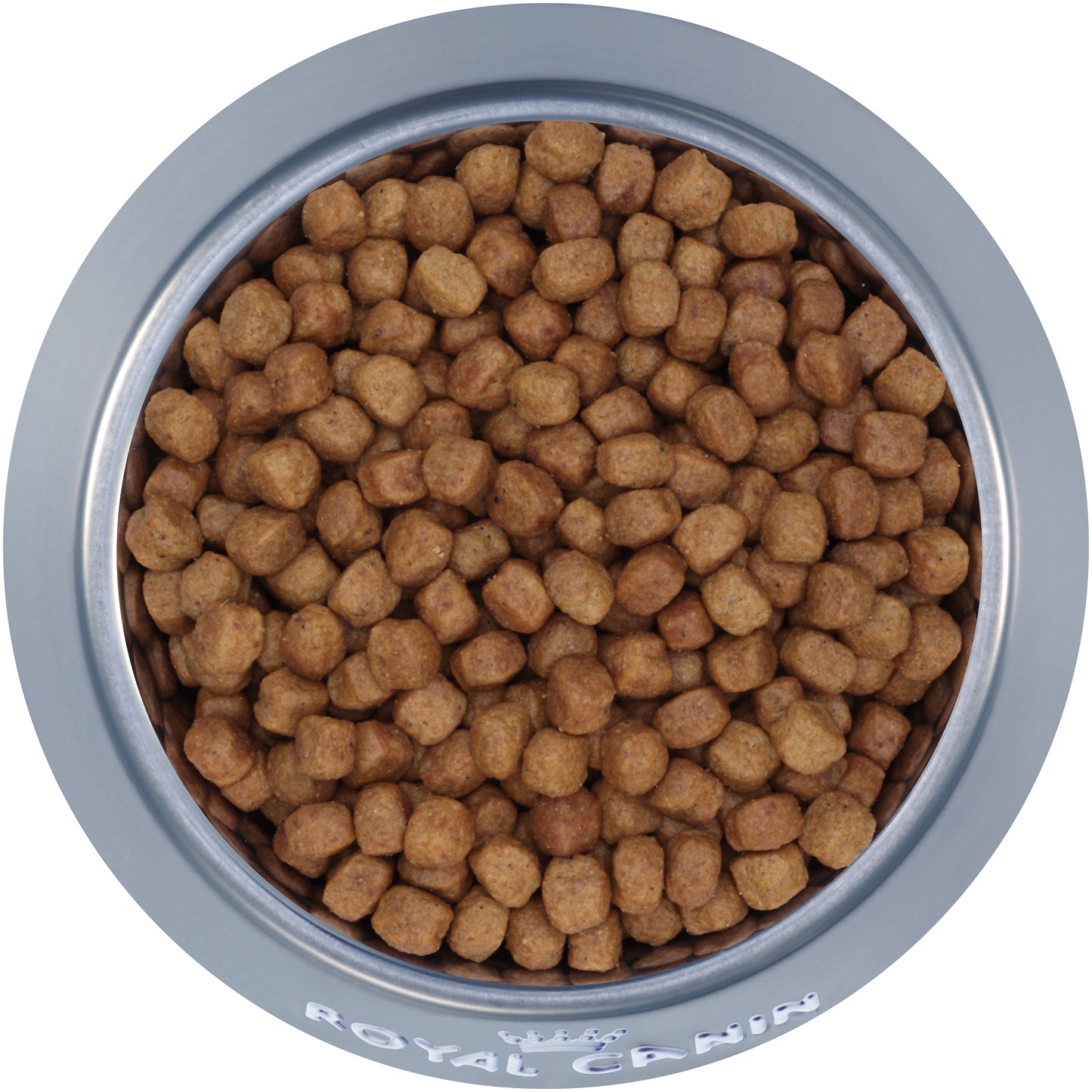 Royal Canin Dachshund Puppy Food  Dog Food  | PetMax Canada
