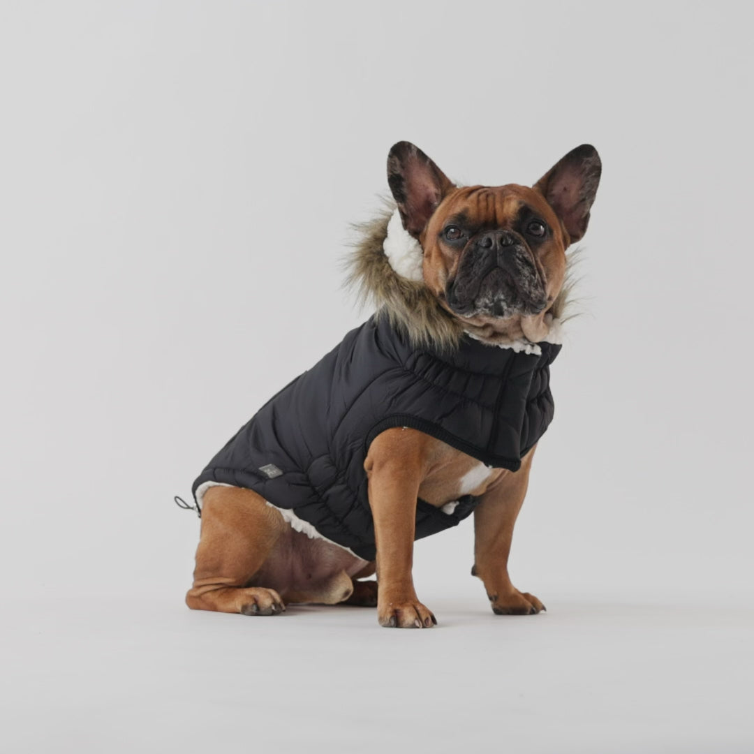 GF Pet Urban Parka Black For Dogs PetMax