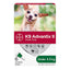 K9 Advantix II Small Dogs Under 4.5Kg / 6 Pack Flea & Tick Topical Applications Under 4.5Kg | PetMax Canada