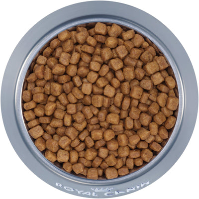 Royal Canin Feline Breed Nutrition Persian Dry Kitten Food - 1.36 Kg - Cat Food - Royal Canin - PetMax Canada