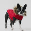 GF Pet Urban Parka Red For Dogs