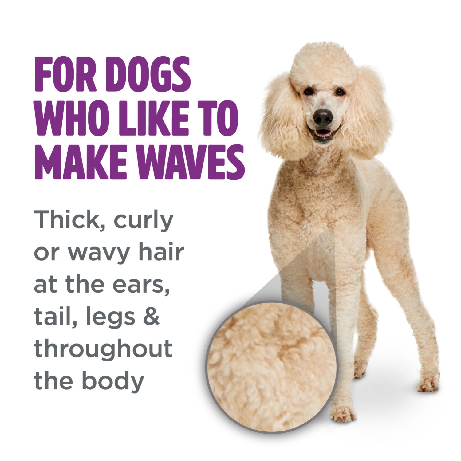 Tropiclean Perfect Fur Curly & Wavy Coat Dog Shampoo  Grooming  | PetMax Canada