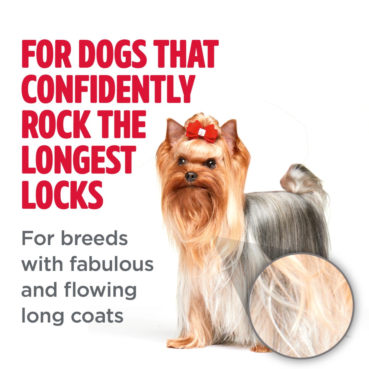 Tropiclean Perfect Fur Long Haired Coat Dog Shampoo  Grooming  | PetMax Canada
