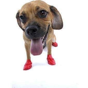 Pawz Dog Boots Red / Small Boots Red | PetMax Canada