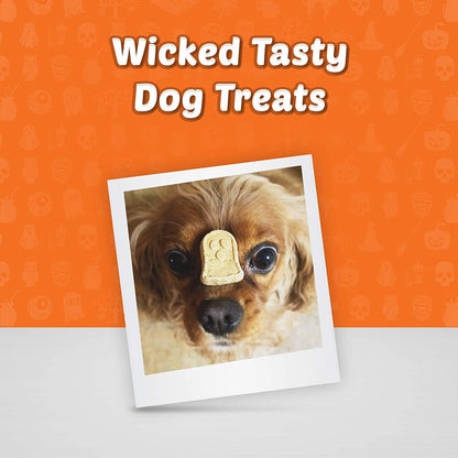Blue Halloween Boo Bars Pumpkin & Cinnamon Dog Treats  Dog Treats  | PetMax Canada
