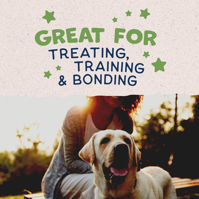 Natural Balance Peanut Butter Crunchy Biscuits Dog Treats - 227g - Dog Treats - Natural Balance - PetMax Canada