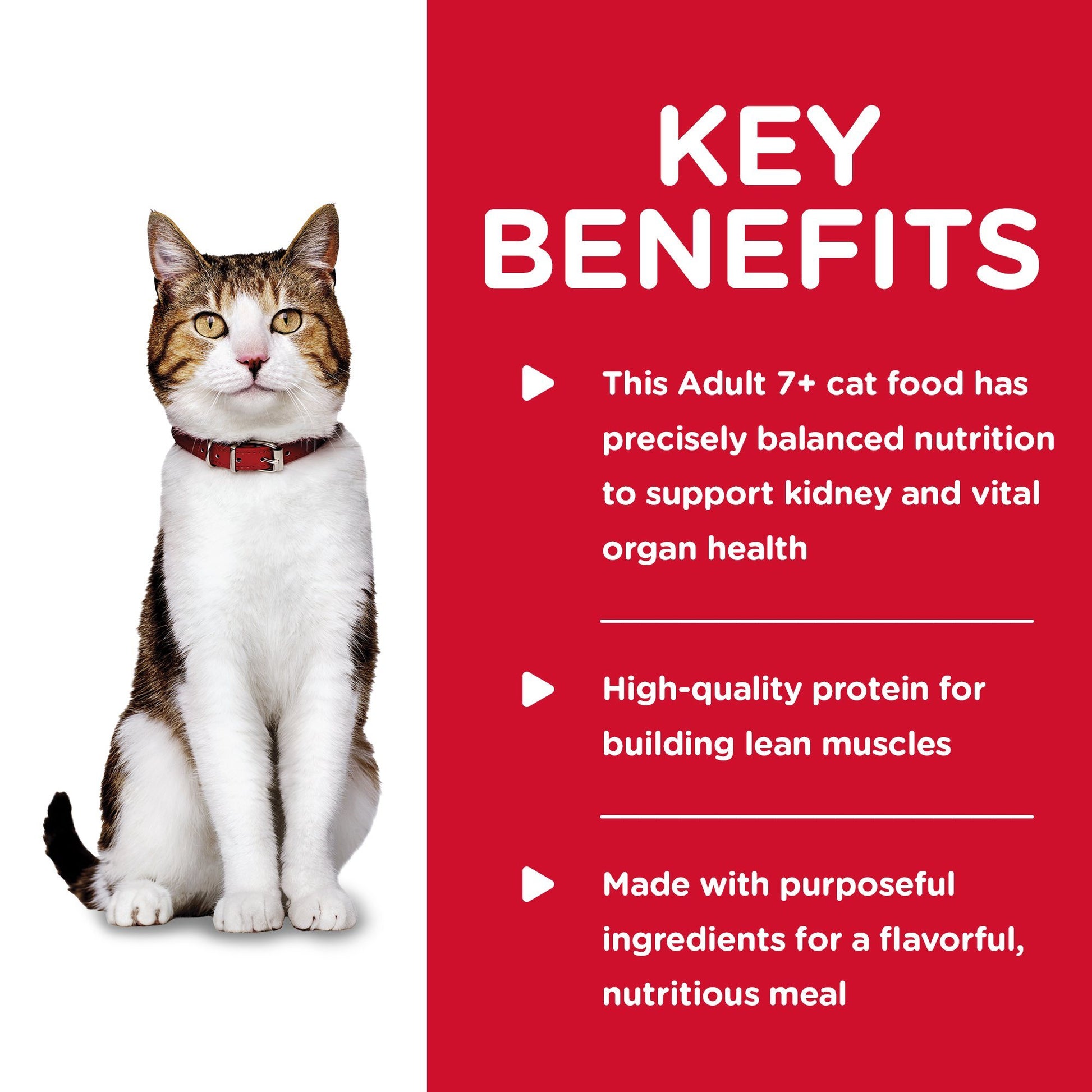 Hill's Science Diet Adult 7+ Savory Beef Canned Cat Food  Canned Cat Food  | PetMax Canada