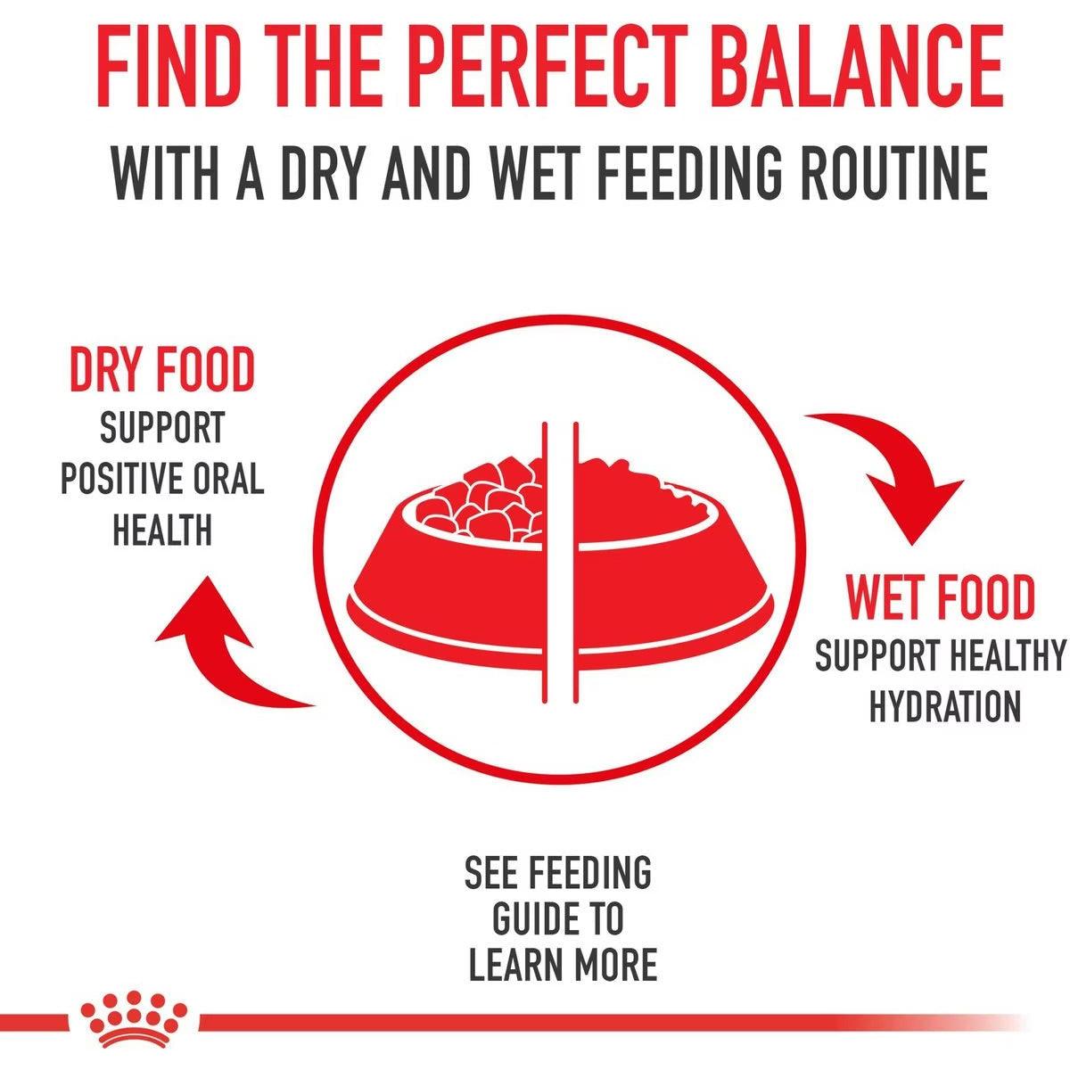 Royal Canin Medium Canned Puppy Food - 369g - Canned Dog Food - Royal Canin - PetMax Canada
